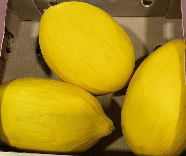 Melon jaune la pièce