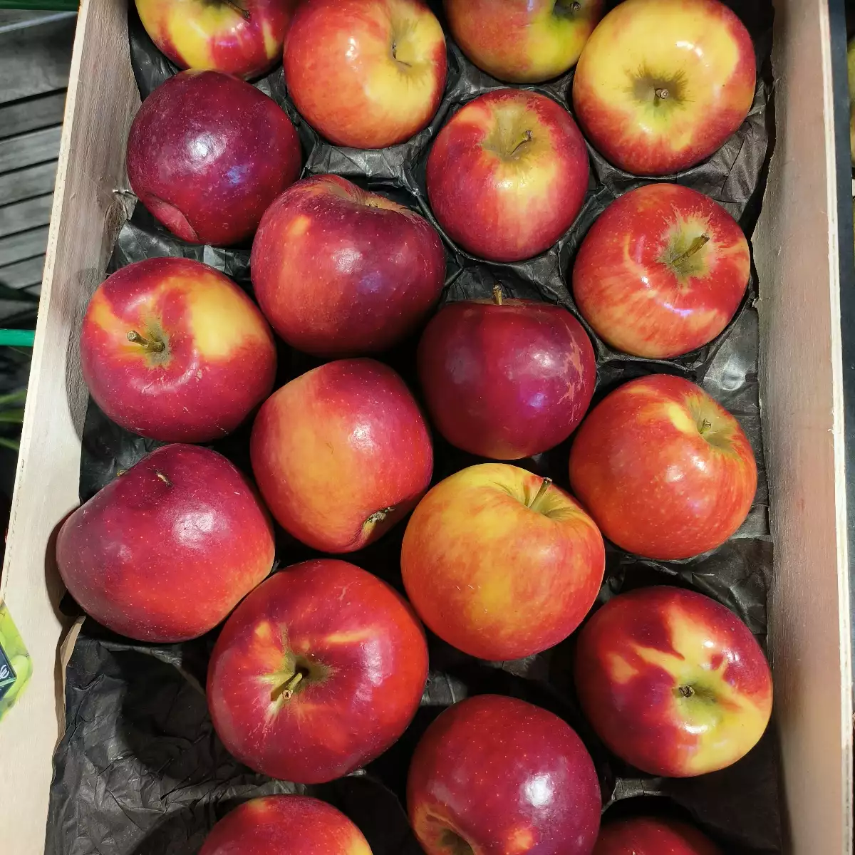 Pomme Jonagored le kg Local