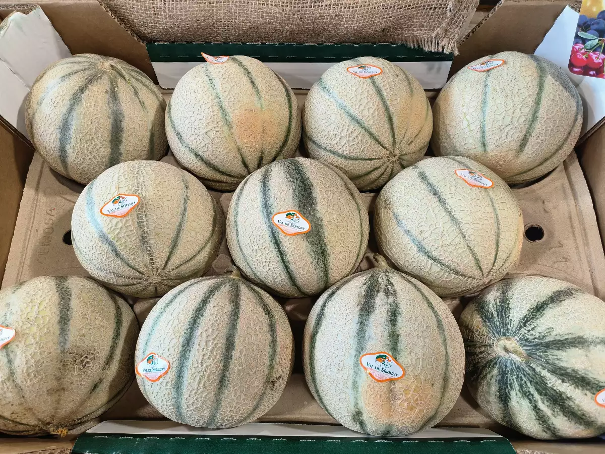 Melon local