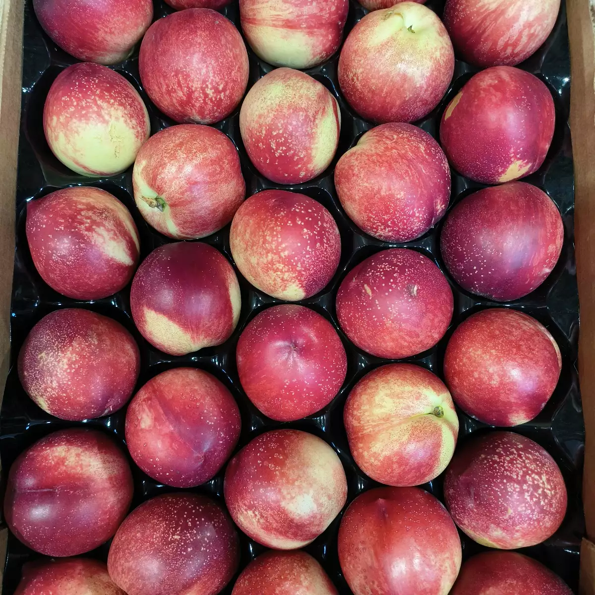 Nectarine blanche