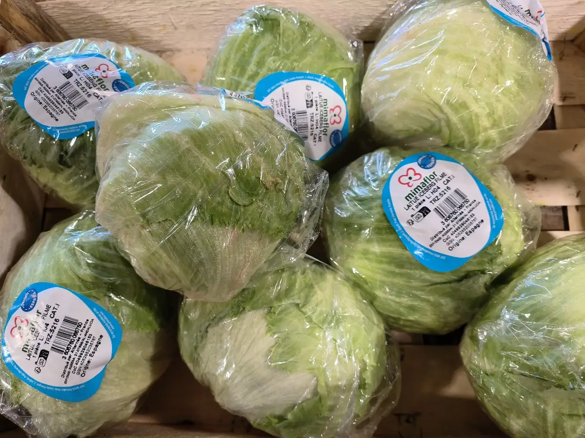 Iceberg