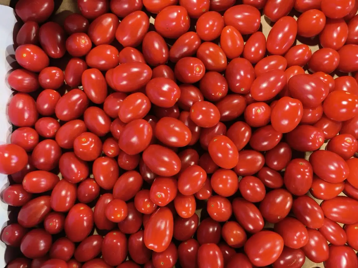 Tomates Coeur de Pigeon 250g France