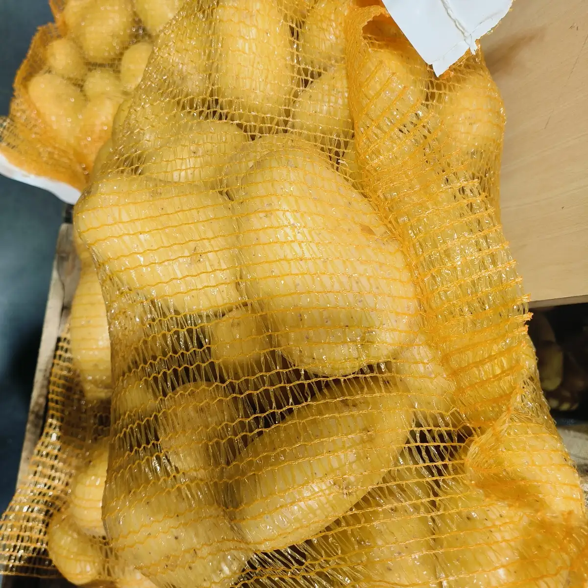 PDT Agata filet de 5kg France