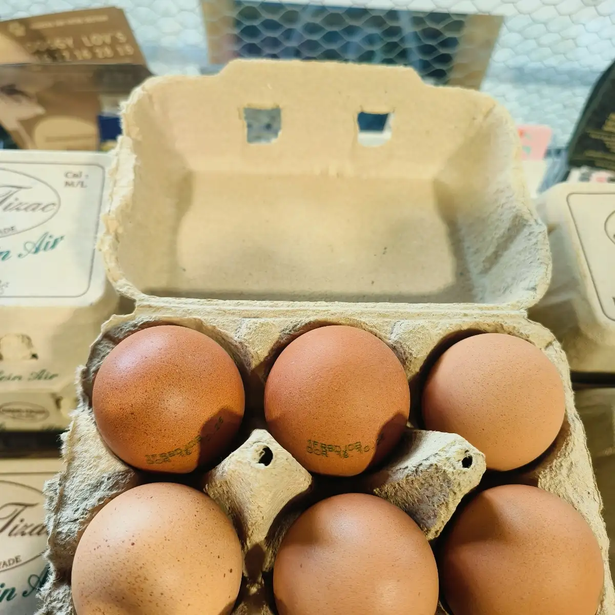 6 oeufs extra frais Local