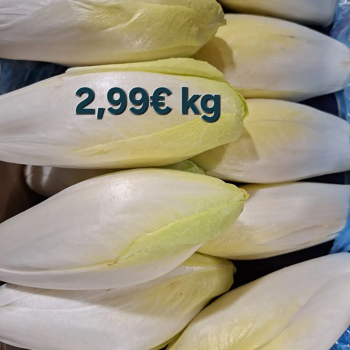Endives le kg France