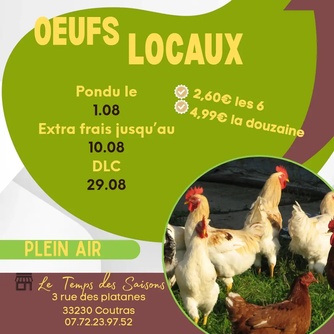 12 oeufs extra frais Local